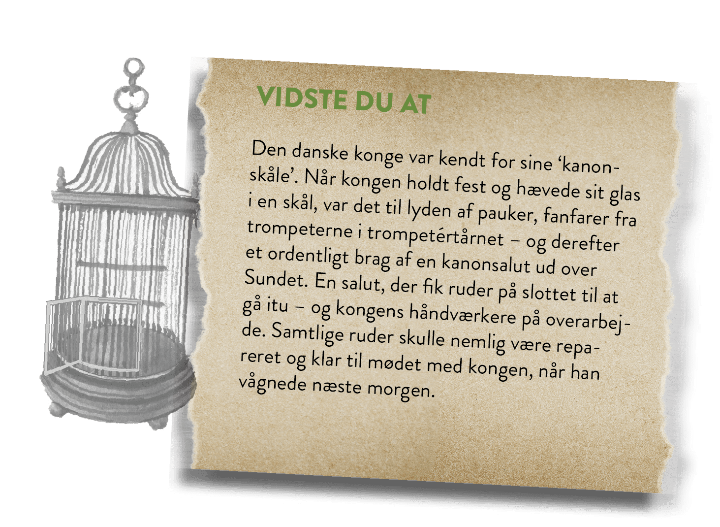HVORFOR PAPEGØJER