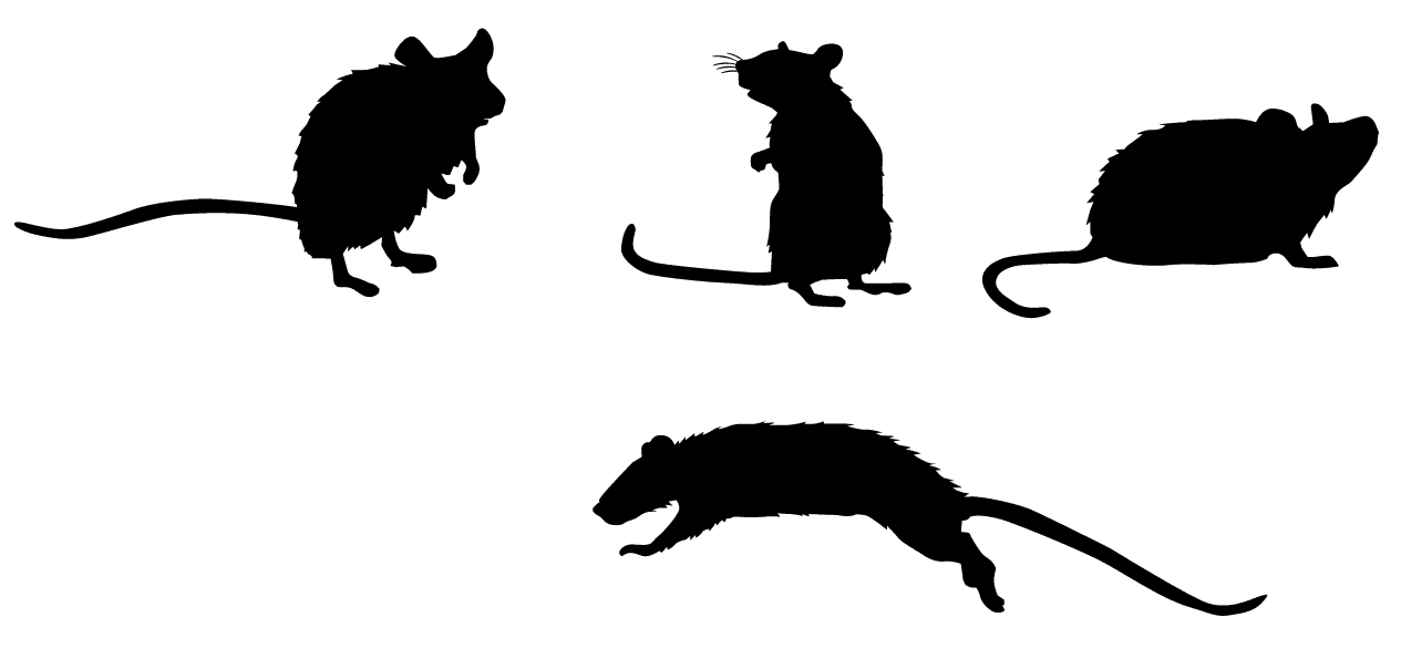 PANDEMIER